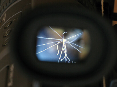 El punto de partida de la obra es el libro de Jan A. Baťa, "Estamos construyendo un país para 40 millones", una versión Fordista del futuro. En el videoensayo, el artista analiza a diversos niveles el funcionamiento actual de la sociedad capitalista. 2010, Zbyněk Baladrán