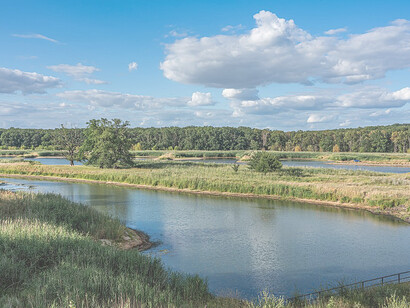 Oder River at the railway bridge in Frankfurt (Oder), Germany