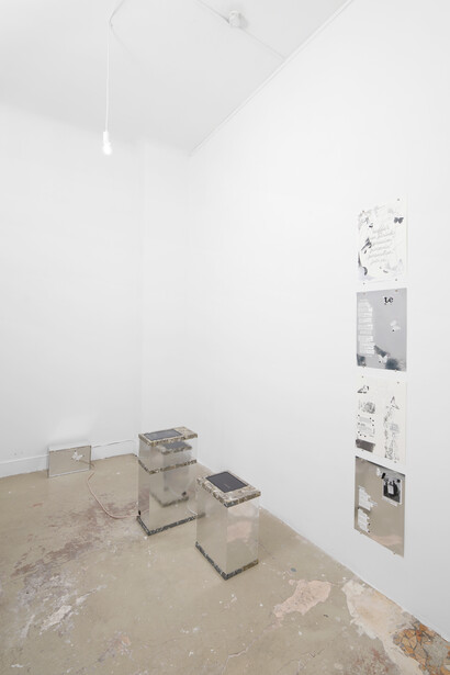 Various artists, Lick the toad, exhibition view. Courtesy of Galerie Anne Barrault