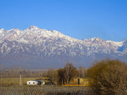 Vista a un viñedo en Tunuyán, ubicado en el centro del Valle de Uco, Mendoza, Argentina