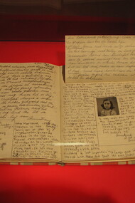 Diário de Anne Frank, considerado um dos mais importantes relatos sobre a Segunda Guerra Mundial. Seu diário sobre o período no esconderijo tornou-se um importante documento histórico sobre o Holocausto. Ao invés de grandes narrativas e de eventos globais, a micro-história se concentra nos detalhes e na vida cotidiana, proporcionando uma visão granular dos processos históricos. Nesse contexto, a biografia serve como uma ferramenta essencial