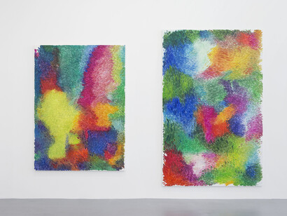 View of the exhibition Peter Zimmermann “sur le motif”, Galerie Perrotin, Paris, June 12 - July 26, 2014. "tangle" 2014, Oil on canvas, 200 x 145 cm / 78 3/4 x 57 1/8 inches & "fleur" 2014, Oil on canvas, 250 x 160 cm / 98 1/2 x 63 inches, Photo : Claire Dorn, Courtesy Galerie Perrotin