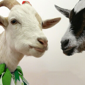 To The Victor Belongs The Spoils. Courtesy of UNIX Gallery 