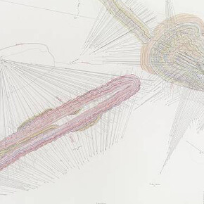 A Passion for Drawing. Courtesy of Albertina Museum