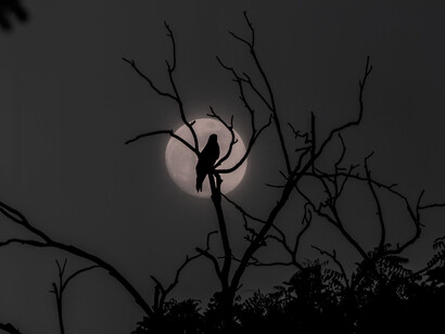 La llamaban, en esos años, la ciudad más austral del mundo