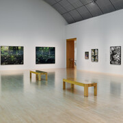 Pao Houa Her, The imaginative landscape, exhibition view. Courtesy of San José Museum of Art