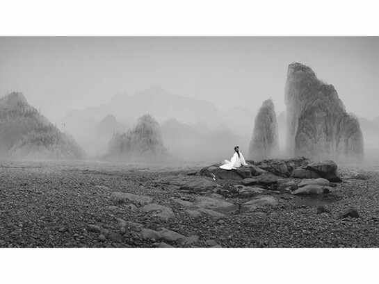 Yang Yongliang, Silent Valley, A Snake and Grenade, 2012