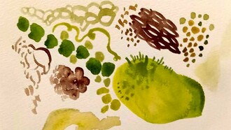 Dibujos en acuerela, parte de la exhibición "Tierra Maestra" de Mariela Richmond, espacio Satis.Factory, Barrio Escalante, San José, Costa Rica