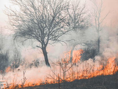 Wildfire in Kyiv, Ukraine, intensified by extreme heat and drought linked to climate change