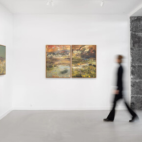 Petra Cortright, Soft stone under heaven exceeded trial period, exhibition view. Courtesy of Brigade Gallery