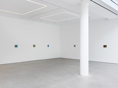 Nicolas Party, Dead fish, exhibition view. Courtesy of Karma Gallery