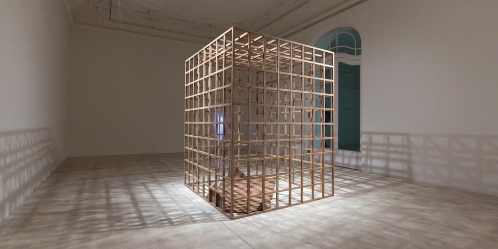 Sudarshan Shetty. Courtesy of Galerie Krinzinger