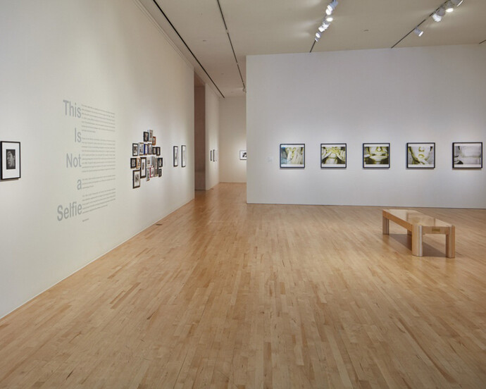 This is not a Selfie. Courtesy of San Jose Museum of Art