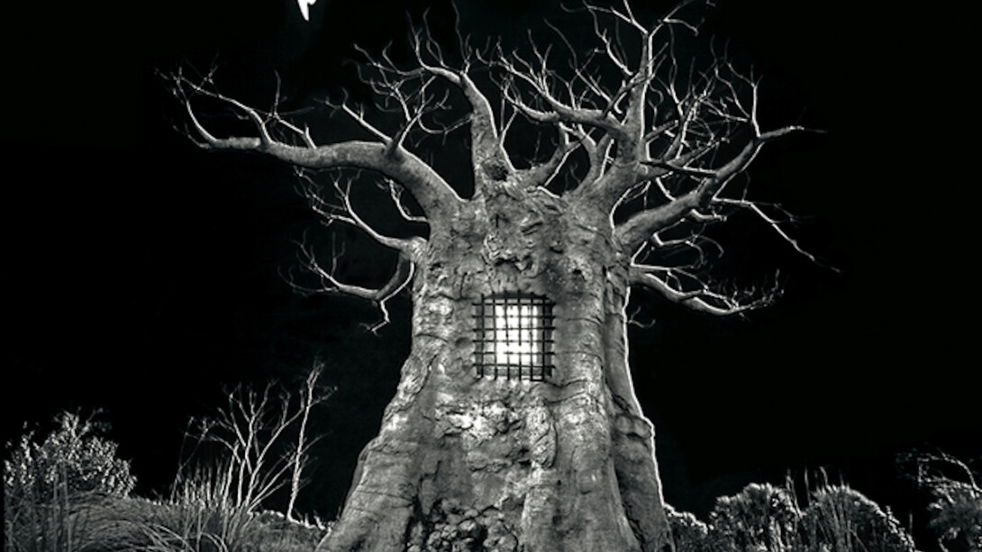 Darkroom Surrealist. Courtesy of Fabian & Claude Walter Galerie