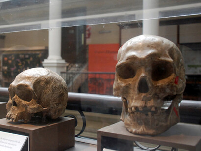 Ser y pertenecer. Courtesy of Museo de La Plata