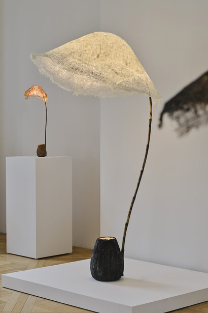 Aki+Arnaud Cooren, Under the reef, exhibition view. Courtesy of Carpenters Workshop Gallery
