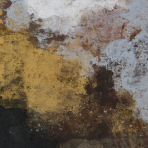 Terra Bruciata. Courtesy of Court Tree Collective