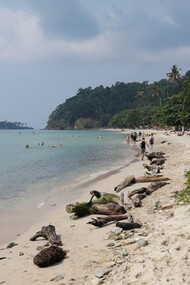 Lonely Beach