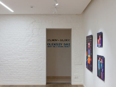 What Am I Doing Here? Courtesy of Voloshyn Gallery