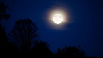 In una notte di chiaro di luna