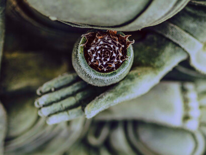 Zen. Secondo lo zen si riuscirà ad essere nuovamente felici quando si soffrirà
di meno
