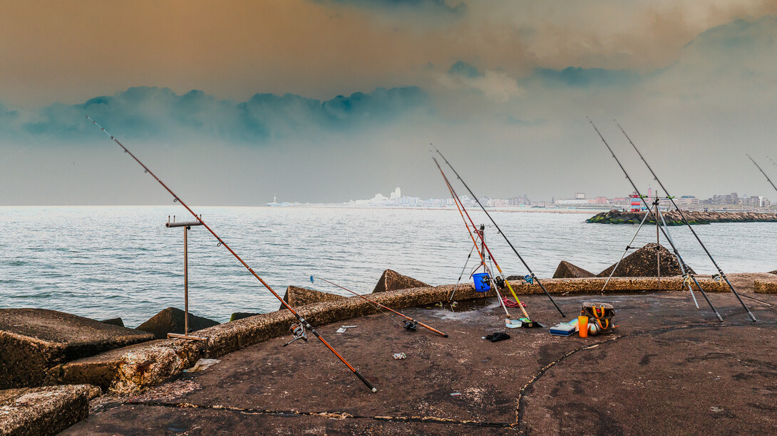 "Fishing or phishing". Un día más en la playa ¿Pesca o estafa? La Haya, Países Bajos