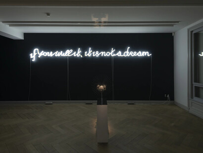 Yael Bartana, If you will it, it is not a dream, ausstellungsansicht. Mit freundlicher genehmigung der Galerie Peter Kilchmann