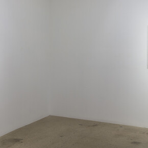 Samantha Rosenwald, Schadenfreude. Installation view. Courtesy of Steve Turner