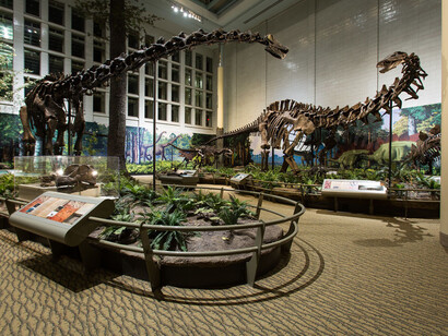 Dinosaurs in their Time. Courtesy of Carnegie Musuem of Natural History