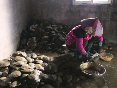 Mika Rottenberg. Courtesy of The Bass 