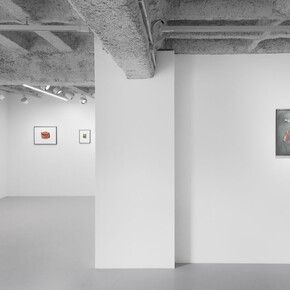 Anca Munteanu Rimnic, Treatise on Bruises, ausstellungsansicht. Mit freundlicher genehmigung der Galerie Plan B