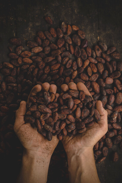 Las semillas de un alimento de dioses