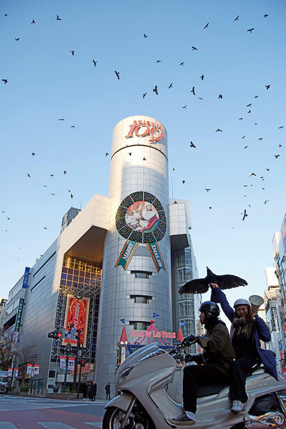 Crows - Aida Makoto + Chim↑Pom. Courtesy of Mori Art Museum