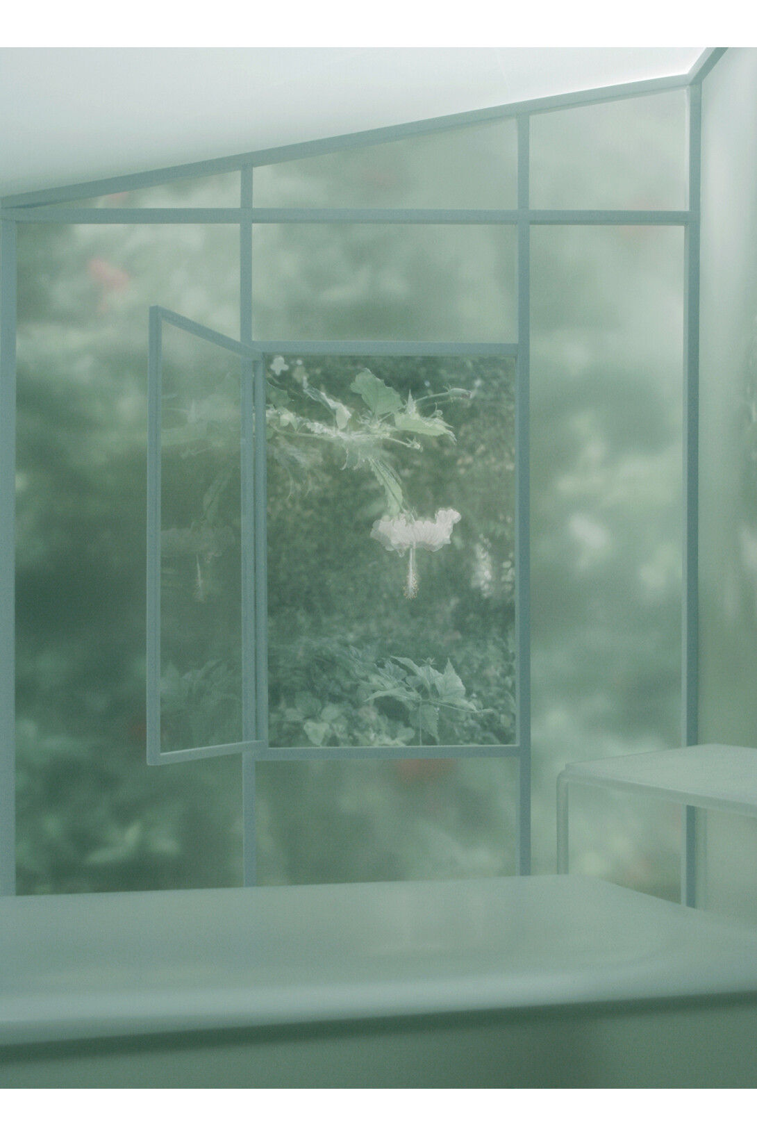 Mayumi Terada, rollingtable with hibiscus, 150401p, 2015, 56 x 40 cm, pigment inkjet print