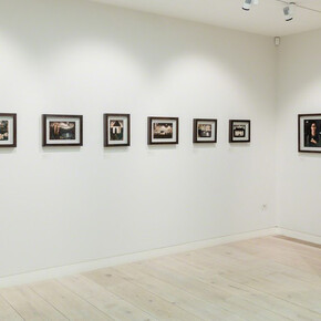 Of Gardens Long Run Wild. Courtesy of John Martin Gallery 