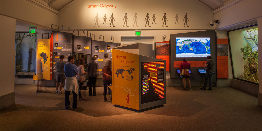 Human Odyssey. Courtesy of California Academy of Sciences