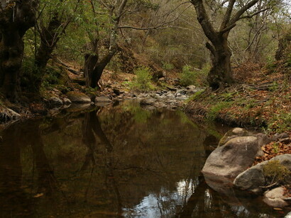 Río, Latuvi, Oaxaca