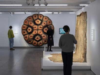 More than human. Designing with nature, exhibition view. Courtesy of Museum für Gestaltung
