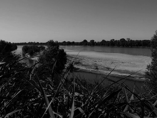 Poche scampagnate feci con lui, grande appassionato di pesca