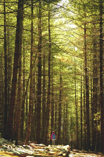 The trek to Rara Lake, Nepal is a highlight of the journey, offering trekkers the chance to immerse themselves in the stunning natural beauty of the region