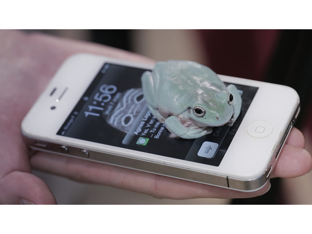 Camille Henrot, Gran fatiga, Great Tiredness, Grosse Fatigue, 2013, Vídeo, color, so, 13 min. Cortesia de l’artista, Silex Films i Kamel mennour, París
