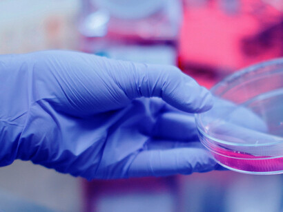Sperimentazione in laboratorio