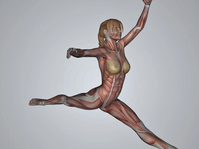 El sistema de termorregulación es distinto en hombres y mujeres, lo que provoca que perciban la temperatura ambiente también de distinta manera