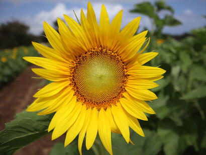 While we may achieve the perfect looking life, it will never be enough. 