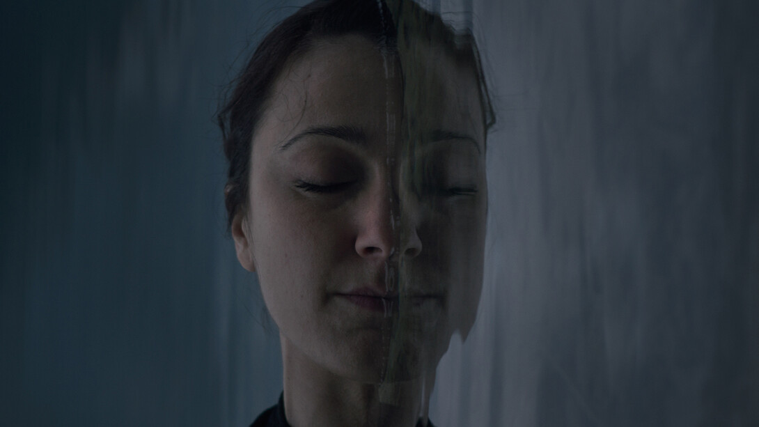 Roberta Segata, Il buio oltre la siepe, 2015