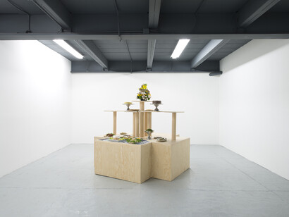 Food for Thought, Exhibition view. Courtesy of Proyectos Monclova