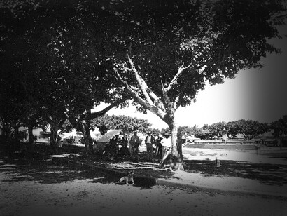 Plaza Mayor de Cartago, hacia el año 1885. Foto de autor desconocido, tomada de noroeste a sureste. En ella se aprecia la fuente, al centro de la plaza. Archivo Vásquez Chaverri (Alejandra Chaverri Álvarez)