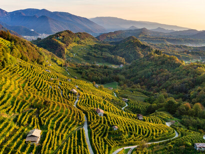 Paesaggio del Conegliano Valdobbiadene Prosecco, foto Arcangelo Piai