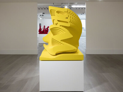 Ramin Shirdel, Exhibition view. Courtesy of Sophia Contemporary