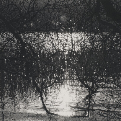 Sarah Gillespie, A Love as Old as Water, 2014, Brown and Black Charcoal on 356gsm Saunders Waterford Paper, 26 x 40 inches (66 x 101.5 cm)
